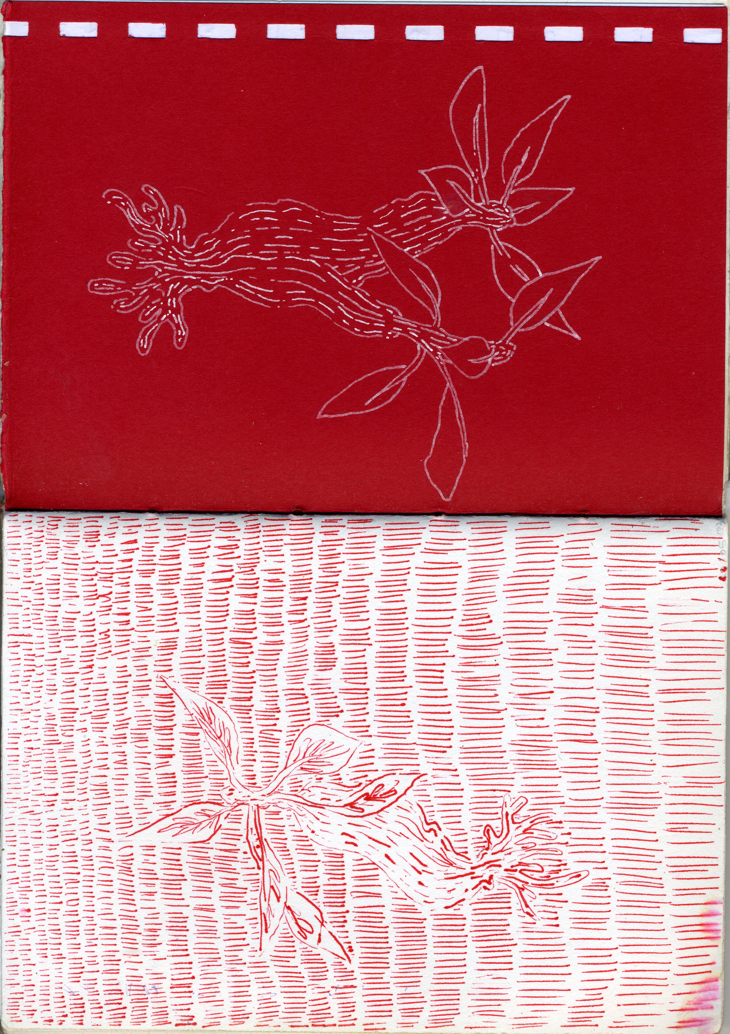 Carnet